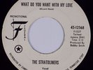 THE STRATOLINERS: What Do You Want USA Federal Northern Soul DJ Promo 45 MP3
