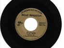 Private Metal 45 BLIND AMBITION Ashes/Summer Dreams HEAR Rare