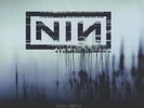 With Teeth Nine Inch Nails USA vinyl LP album record B000455301 INTERSCOPE