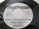 BOBBY JAMESON-GOTTA FIND MY ROOGALATOR FRANK ZAPPA GARAGE PSYCH PROMO 45 7
