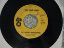 THE NERVOUS BREAKDOWNS • I Dig Your Mind/Seeds Of Love • RARE GARAGE PSYCH Take6