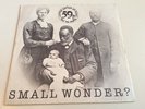 THE CARPETTES 1978 SMALL WONDER - RARE PUNK 7” PICTURE SLEEVE  SMALL WONDER