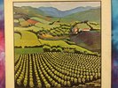 Rare Private Xian Psych Folk LP  - Fish House Fellowship Band - Country Melody