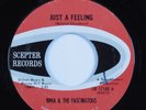 Northern Soul 45 IRMA & THE FASCINATORS Just A Feeling SCEPTER HEAR
