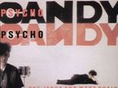 Jesus and Mary Chain - Psychocandy Vinyl LP Wea NEU