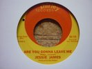 northern soul jesse james are you going to leave me shirley usa 45 orig rare