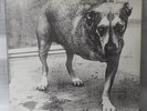 ALICE IN CHAINS 