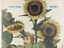 Harbinger - Second Coming LP - Rare Private Psych Folk VG++