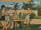 Roy Little Wiggins - Fabulous Steel Guitar Artistry Of Little Roy [New Vinyl LP]