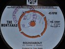 THE MONTANAS ROUNDABOUT UK PYE 45 1969 7
