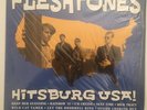 The Fleshtones - Hitsburg USA  - TR 026(US) - Vinyl - NM/NM