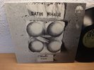SATIN WHALE DESERT PLACES 1974 MINT KRAUTROCK MUSIC