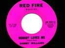 Sammy Williams Red Fire1001 E Soul 45 Gonna Let My Hair Down b/w Nobody Loves Me