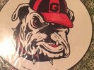 GEORGIA BULLDOGS Bulldawg Boogie Vinyl LP   Sage & Larry Munson  RARE  UGA 