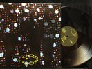 Loop-Spinning EP-Head 7-12