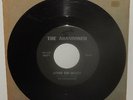 ABANDONED 1966 CHICAGO GARAGE RAVER 45 COME ON MARY ORIGINAL CLEAN PLAY NR