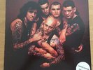 Rose Tattoo Scarred For Life? Vinyl,LP Limited Edition Red Vinyl Numbered