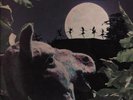 Scarce Mendelssohn: A Midsummer Night's Dream - Peter Maag (Decca SX2060)