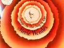Stevie Wonder - Songs in the key of Life Collector’s Album Vinyl Motown 1976