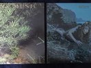 Roxy Music Siren And Country Life (censored) Vinyl Lps