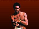 AL GREEN - The Very Best Of - Greatest Hits 180g Vinyl Album LP NEW SEALED