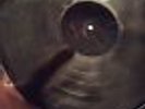 PINK FLOYD the division bell LP BLUE/GREEN VINYL gatefold MINT