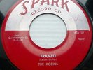 THE ROBINS doowop on original VG+ SPARK 45 FRAMED b/w LOOP DO LOOP MAMBO ws277