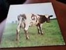 PINK FLOYD Atom Heart Mother classic 1970 LP, UK second press, EX+