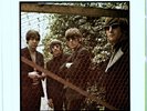 THE BEATLES - Paperback Writer / Rain - UK 7