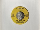 THEODIS EALEY Rare Soul Funk 45 THIS IS MY LIFE   CHELAN (M-)