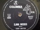 TERRY BRITTEN - 2000 WEEKS B/W BARGAIN DAY - OZ COLUMBIA GARAGE PSYCH 45 - 1969