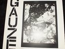 GAUZE   Rare  Vinyl LP
