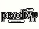 THE PRODIGY Experience 2 x Vinyl LP (12 Tracks)  NEW & SEALED