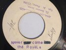 THE ROYALS - NEVER SEE COME SEE - AMALGAMATED PRE ( ROCKSTEADY 7 )