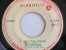 GAYLETS - I LIKE YOUR WORLD - MERRITONE ( ROCKSTEADY 7 )