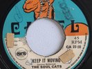 THE SOUL CATS - KEEP IT MOVING / YOUR SWEET LOVE - CAMEL ( SKINHEAD 7 )