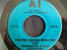 Thirteenth Floor Elevators, AI 107, You're Gonna Miss Me & Tried To Hide