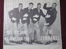 The Commands 