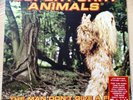 Super Furry Animals: SFA: The Man Don’t Give a Fuck: 12” Etched Vinyl