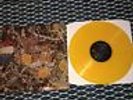 RARE The Stone Roses Album on orange / gold vinyl