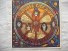 GUNS N' ROSES PARADISE CITY ALIVE  RARE  LP