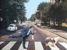 Paul McCartney / Paul Is Live