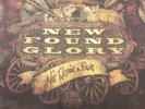 New Found glory 12”, Rare, Green Vinyl, “Not Without A Fight”, Pop Punk,Hardcore
