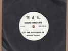 DAVID SYLVIAN Let The Happiness In (DJ Edit) Original UK Promo 7