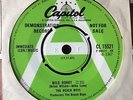 THE BEACH BOYS: DEMO COPY 