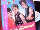 Stray Cats 