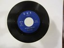 VERY RARE 45 THE AD-LIBS HUMAN 1966 A.G.P. NEW YORK IN THE DARK EXC.