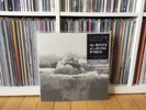 If These Trees Could Talk - Bones of a Dying World Vinyl Lp Limited Grey /300