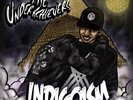 The Underachievers - Indigoism Vinyl 2LP NEU Joey Badass, Bada$$