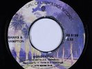 70s Soul 45 - Banks & Hampton - Wonderful - WB Jamaica - mp3